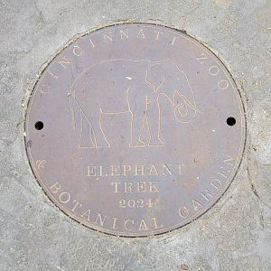 May. 2025 - NEW! Elephant Trek