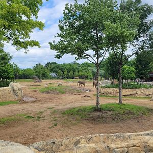 May. 2025 - Elephant Trek - Main Elephant Yard