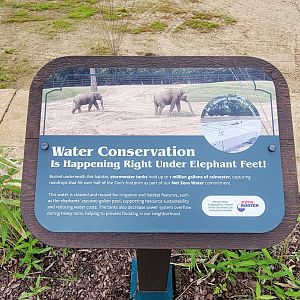 May. 2025 - NEW! Elephant Trek