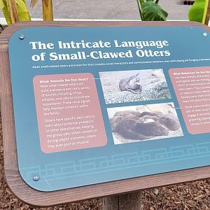 May. 2025 - NEW! Elephant Trek - Siamang Point - Otter Signage