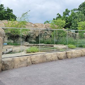 May. 2025 - NEW! Elephant Trek - Siamang Point - Small-clawed Otter Exhibit
