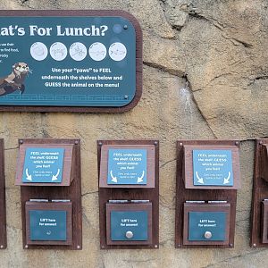 May. 2025 - NEW! Elephant Trek - Siamang Point - Otter Signage