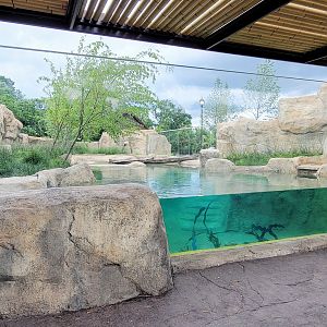 May. 2025 - NEW! Elephant Trek - Siamang Point - Small-clawed Otter Exhibit