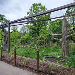May. 2025 - NEW! Elephant Trek - Siamang Point - Rhinoceros Hornbill Exhibit