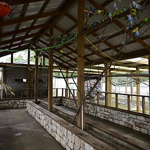 Broadway Zoological Park - Budgie Aviary