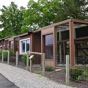 Broadway Zoological Park - Fishing Cat (Prionailurus viverrinus) Exhibits