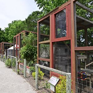 Broadway Zoological Park - Primate enclosures