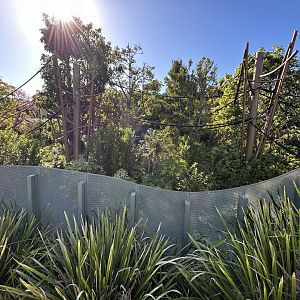 Siamang Exhibit - Southeast Asian Jungle Track