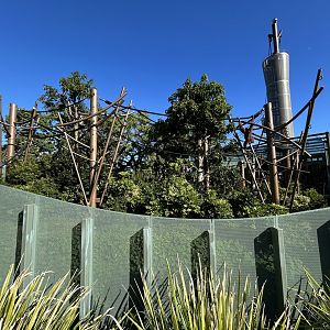Orangutan Exhibit - Southeast Asian Jungle Track