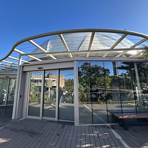 Swamp Forest Dome - Southeast Asian Jungle Track