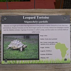 Broadway Zoological Park - Whoops