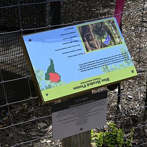 Broadway Zoological Park - Whoops