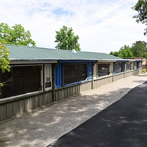 Broadway Zoological Park - Pheasant Exhibits
