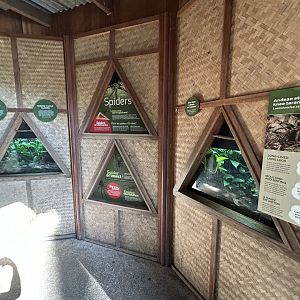 Tarantula House - South American Rainforest Track