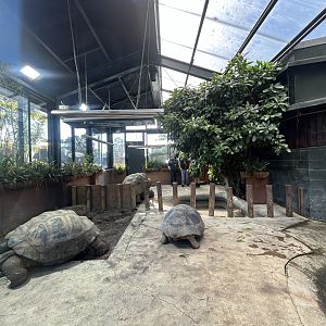 Galapagos Tortoise Greenhouse