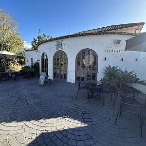 Old Elephant House Cafe