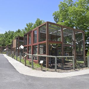 Broadway Zoological Park - Primate Exhibits