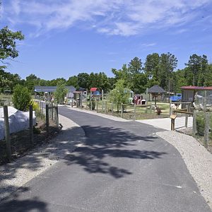 Broadway Zoological Park - General Scenery