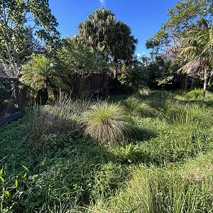 Brolga Exhibit - Australian Bush Track