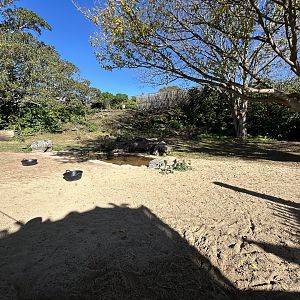 Forester Kangaroo & Emu Exhibit - Australian Bush Track