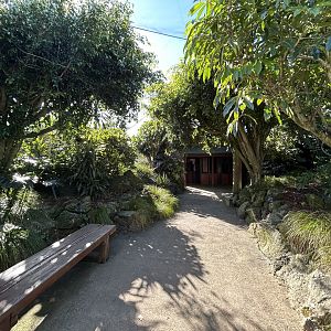 Australian Aviary #1 - Australian Bush Track