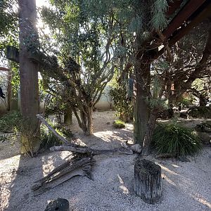 Australian Aviary #2 - Australian Bush Track