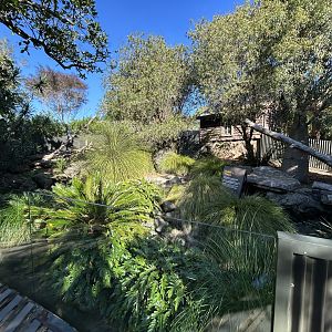 Tasmanian Devil Exhibit #2 - Australian Bush Track