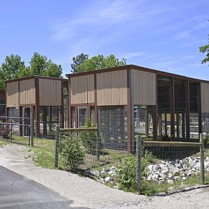Broadway Zoological Park - Bird of Prey Exhibits