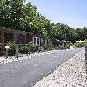 Broadway Zoological Park - Small Cat Exhibits