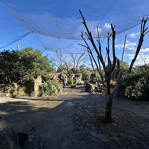 Lovebird/Meerkat Aviary Complex - African Safari Track