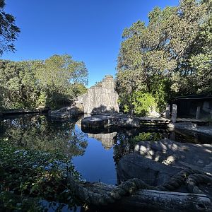 Sub-Antarctic Fur Seal Exhibit - Te Wao Nui