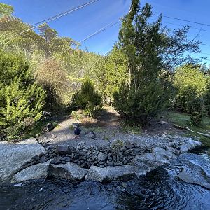 High Country Aviary - Te Wao Nui