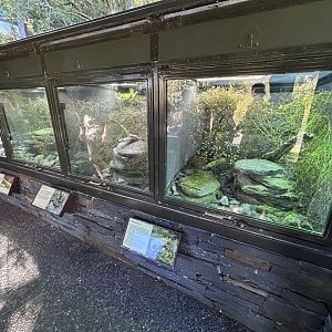 Herp Exhibits - Te Wao Nui