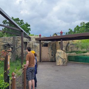 May. 2025 - NEW! Elephant Trek - Siamang Point - Hornbill + Otter Viewings