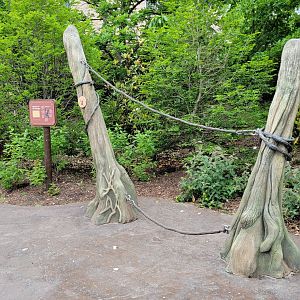 May. 2025 - NEW! Elephant Trek - Siamang Point - Interactive Station