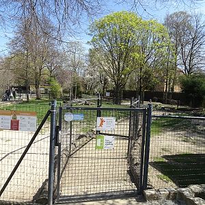 Wallaby / emu walkthrough enclosure