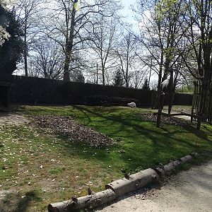 Wallaby / emu walkthrough enclosure