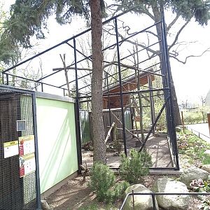 Aviary for common raven