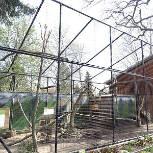 Aviary for common raven