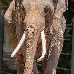 Face to face with Billy, August 2022