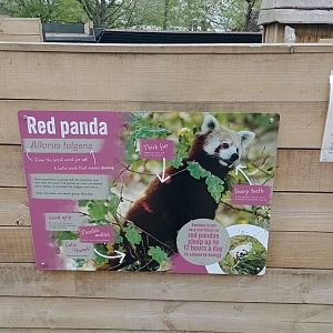 Red panda signage