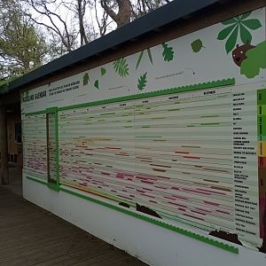 The wildlife calendar