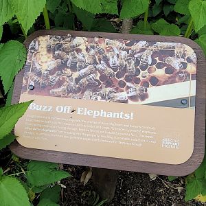 May. 2025 - NEW! Elephant Trek - Siamang Point - Bee Signage