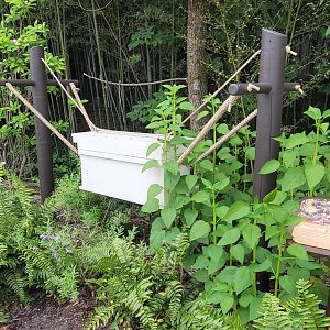 May. 2025 - NEW! Elephant Trek - Siamang Point - Bee Station