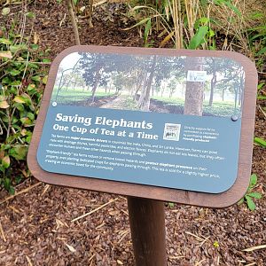 May. 2025 - NEW! Elephant Trek - Siamang Point - Tea Signage