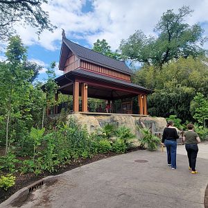 May. 2025 - NEW! Elephant Trek