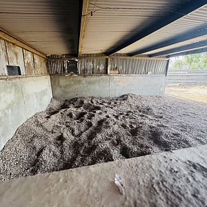 White Rhino birthing den