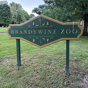 May 2025 - Zoo Sign