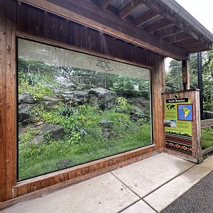 May 2025 - Condor Viewing Area