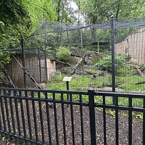 May 2025 - Bobcat Enclosure